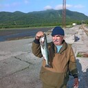 ���������� ����������, ���� ������� �������, 67 ���, ������������ ��� ������, ����� � ���������