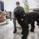 ���������� �������, ���� ������� ������, 31 ���, ������������ ��� ������, ����� � ���������