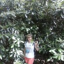 ���������� �����, ���� ������� ����, 50 ���, ������������ ��� ������, ����� � ���������, c�������� ���������