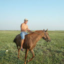  --,   , 42 ,   ,   , c 