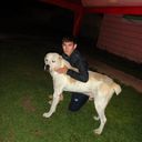 ���������� ������, ���� ������� Sayat, 35 ���, ������������ ��� ���������