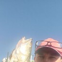  ,   , 38 ,     , c , 