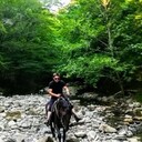 ���������� ���������, ���� ������� ����, 33 ����, ������������ ��� ������, ����� � ���������