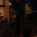 ���������� ����������, ���� ������� ����, 39 ���, ������������ ��� c�������� ���������