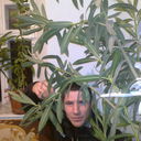  ,   Grigorie, 37 ,   ,   , c 