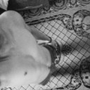 ���������� �������, ���� ������� Marin, 27 ���, ������������ ��� ������, ����� � ���������, c�������� ���������