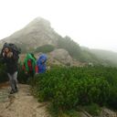 ���������� ��������������, ���� ������� V0961229457, 52 ����, ������������ ��� ������