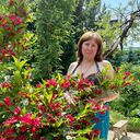 ���������� ������, ���� ������� �����, 49 ���, ������������ ��� c�������� ���������