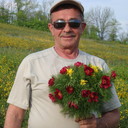  ,   , 71 ,   