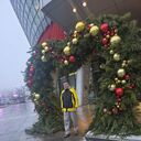 ���������� �����, ���� ������� ������, 44 ����, ������������ ��� ������, ����� � ���������, ���������