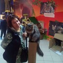 ���������� �����-���������, ���� ������� ��������, 54 ����, ������������ ��� ����� � ���������, c�������� ���������, ���������