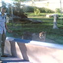 ���������� �������, ���� ������� ������� 79, 46 ���, ������������ ��� ������, ����� � ���������, c�������� ���������