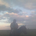 ���������� �����, ���� ������� �����, 41 ���, ������������ ��� ������