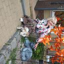  ,   , 59 ,   ,   , c 