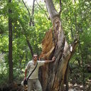 ���������� ���������, ���� ������� �����, 35 ���, ������������ ��� ����� � ���������, c�������� ���������