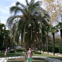 ���������� ����, ���� ������� �������, 41 ���, ������������ ��� ������, ����� � ���������, c�������� ���������