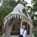 ���������� ������, ���� ������� ������, 45 ���, ������������ ��� ����� � ���������, c�������� ���������