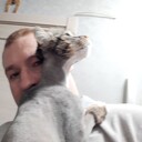  ,   , 36 ,   ,   , c , 