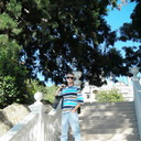 ���������� �����������, ���� ������� ������, 50 ���, ������������ ��� ����� � ���������, c�������� ���������