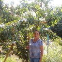 ���������� ����, ���� ������� �������, 70 ���, ������������ ��� ������, ����� � ���������, c�������� ���������