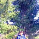  ,   Umid, 31 ,   