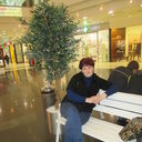 ���������� ������, ���� ������� �������, 53 ����, ������������ ��� ������, ����� � ���������, c�������� ���������