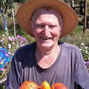  ,   , 75 ,   ,   