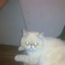 ���������� ��������, ���� ������� ������, 38 ���, ������������ ��� ������, ����� � ���������, c�������� ���������