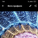 ���������� ������, ���� ������� �������, 49 ���, ������������ ��� ����� � ���������, c�������� ���������