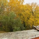 ���������� ������, ���� ������� �����, 39 ���, ������������ ��� ������, ����� � ���������