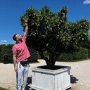  ,   , 34 ,   ,   , c , 