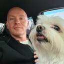 ���������� ���������, ���� ������� �������, 46 ���, ������������ ��� c�������� ���������