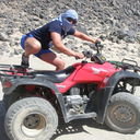 ���������� ������������, ���� ������� Lacoste, 40 ���, ������������ ��� ����� � ���������, c�������� ���������