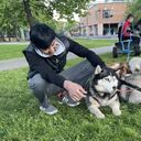 ���������� �����-���������, ���� ������� ���, 26 ���, ������������ ��� ������, ����� � ���������