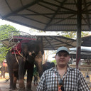 ���������� �������, ���� ������� ����, 37 ���, ������������ ��� ������, ����� � ���������, c�������� ���������