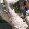  Bochum,   Alexander, 46 ,   ,   , c 