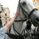 ���������� �����-���������, ���� ������� �������, 47 ���, ������������ ��� ������, ����� � ���������, c�������� ���������