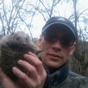 ���������� ���������, ���� ������� ������, 44 ����, ������������ ��� ������, ����� � ���������, c�������� ���������