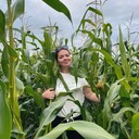 ���������� �����-���������, ���� ������� �������, 31 ���, ������������ ��� ����� � ���������, c�������� ���������