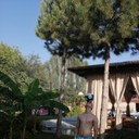 ���������� �������, ���� ������� ����, 30 ���, ������������ ��� ����� � ���������, c�������� ���������