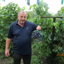 ���������� ���������, ���� ������� �����, 47 ���, ������������ ��� ������, ����� � ���������, c�������� ���������