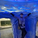 ���������� �������, ���� ������� �����, 44 ����, ������������ ��� ���������