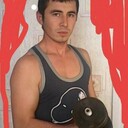 ���������� �����-���������, ���� ������� ������, 38 ���, ������������ ��� ������, ����� � ���������, c�������� ���������