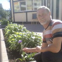   ,   , 61 ,   ,   , c 