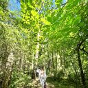 ���������� �����-���������, ���� ������� ����, 38 ���, ������������ ��� ������, ����� � ���������, c�������� ���������