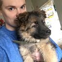 ���������� ������ ��������, ���� ������� �������, 29 ���, ������������ ��� ������, ����� � ���������, c�������� ���������