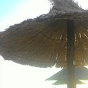 ���������� ���������, ���� ������� �����, 47 ���, ������������ ��� ������, ����� � ���������, c�������� ���������