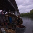 ���������� �����, ���� ������� ���������, 46 ���, ������������ ��� c�������� ���������, ���������