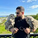  ,   Arman, 31 ,   ,   