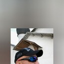  ,   , 51 ,   ,   , c 